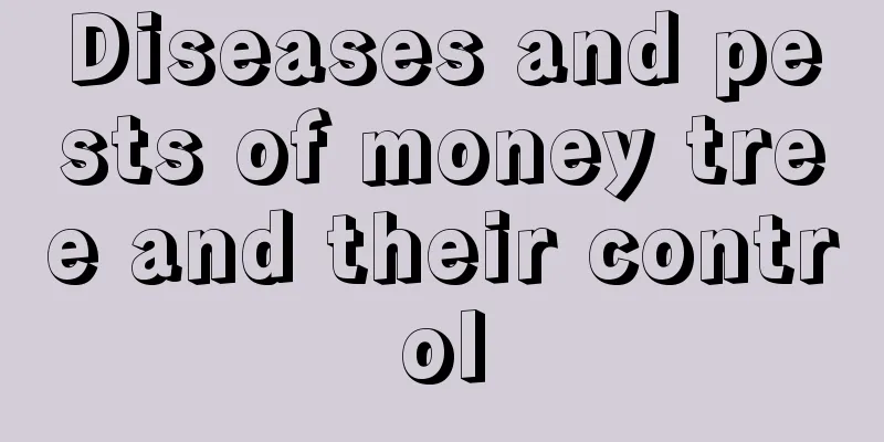 Diseases and pests of money tree and their control