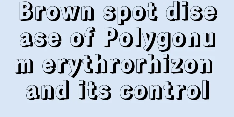 Brown spot disease of Polygonum erythrorhizon and its control