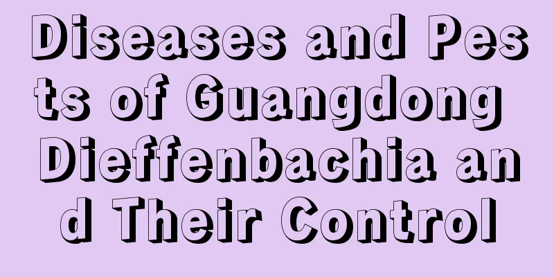 Diseases and Pests of Guangdong Dieffenbachia and Their Control