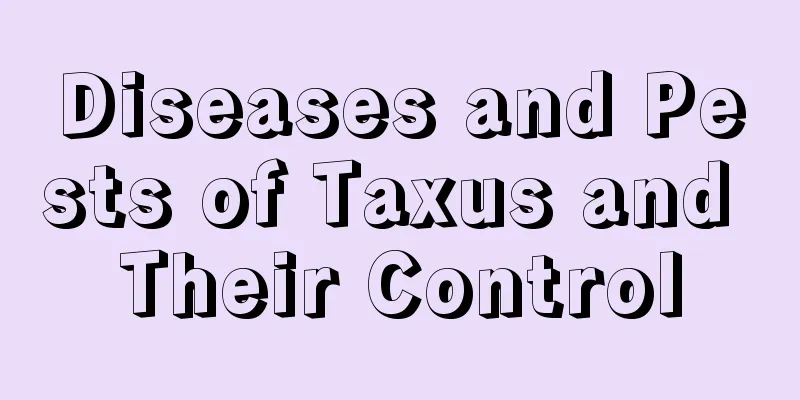 Diseases and Pests of Taxus and Their Control