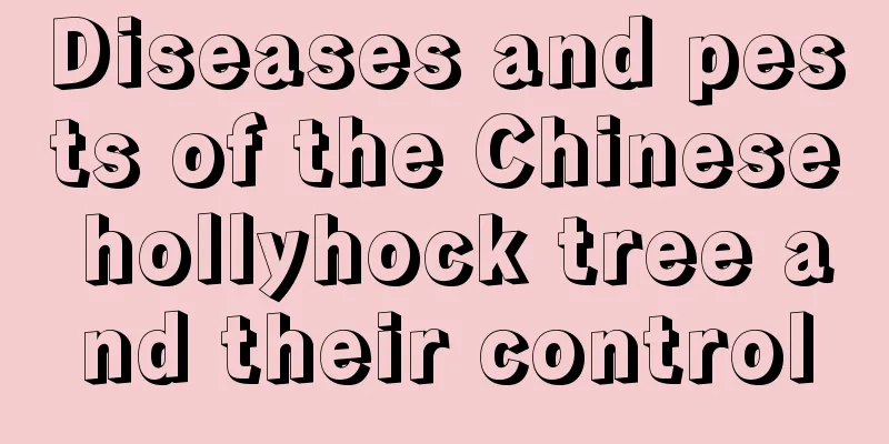 Diseases and pests of the Chinese hollyhock tree and their control