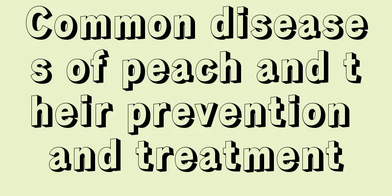 Common diseases of peach and their prevention and treatment