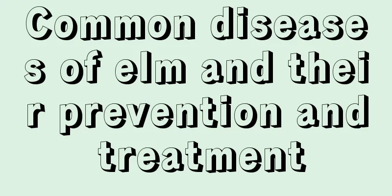 Common diseases of elm and their prevention and treatment