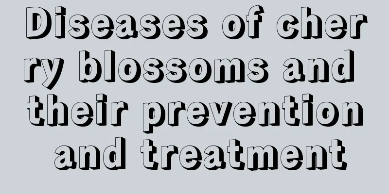 Diseases of cherry blossoms and their prevention and treatment