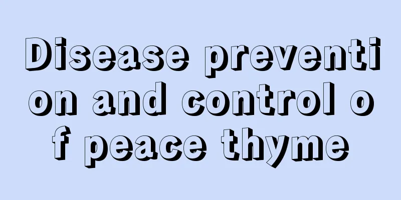 Disease prevention and control of peace thyme