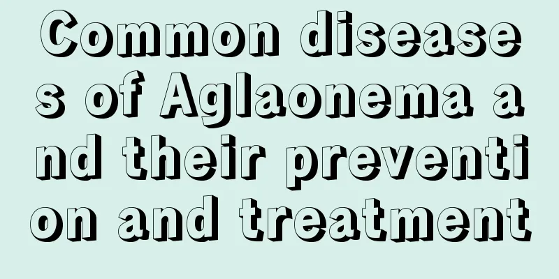 Common diseases of Aglaonema and their prevention and treatment