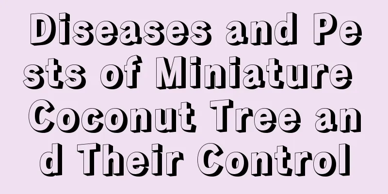 Diseases and Pests of Miniature Coconut Tree and Their Control