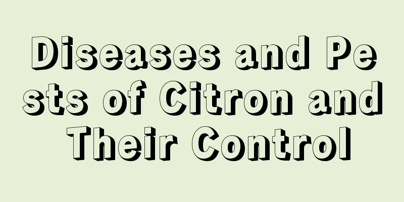 Diseases and Pests of Citron and Their Control