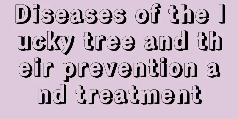 Diseases of the lucky tree and their prevention and treatment