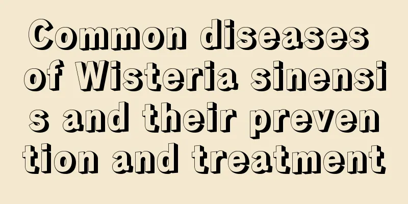 Common diseases of Wisteria sinensis and their prevention and treatment