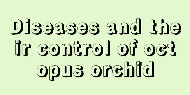 Diseases and their control of octopus orchid