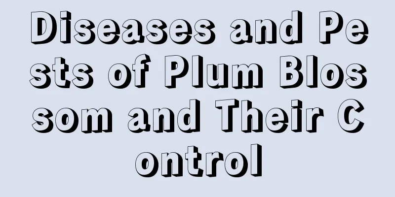 Diseases and Pests of Plum Blossom and Their Control