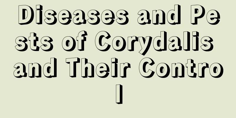 Diseases and Pests of Corydalis and Their Control