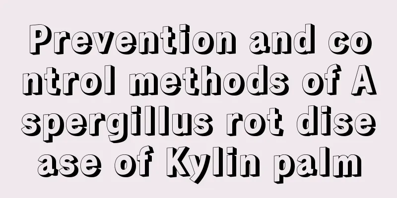 Prevention and control methods of Aspergillus rot disease of Kylin palm