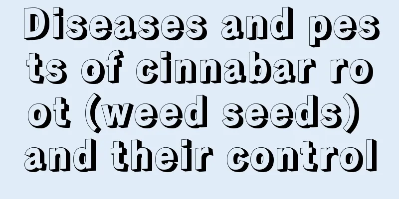 Diseases and pests of cinnabar root (weed seeds) and their control