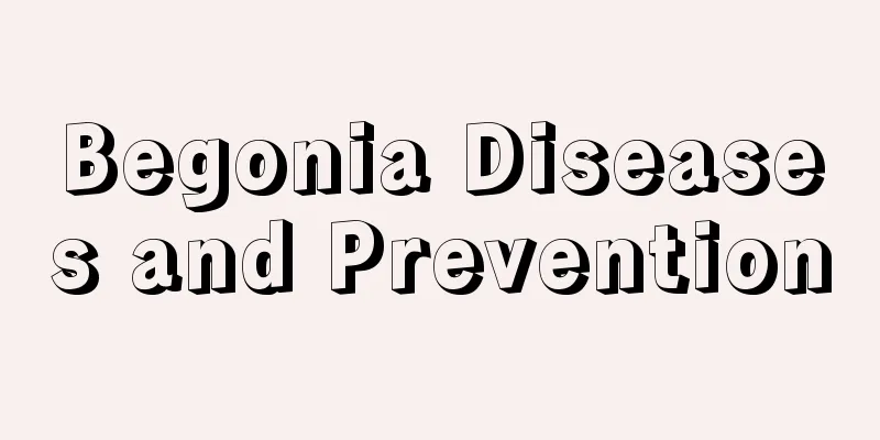 Begonia Diseases and Prevention