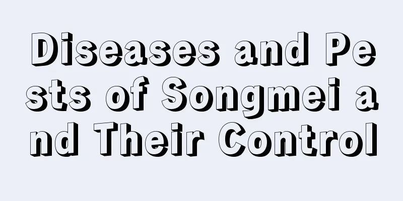 Diseases and Pests of Songmei and Their Control