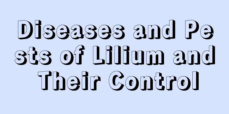 Diseases and Pests of Lilium and Their Control