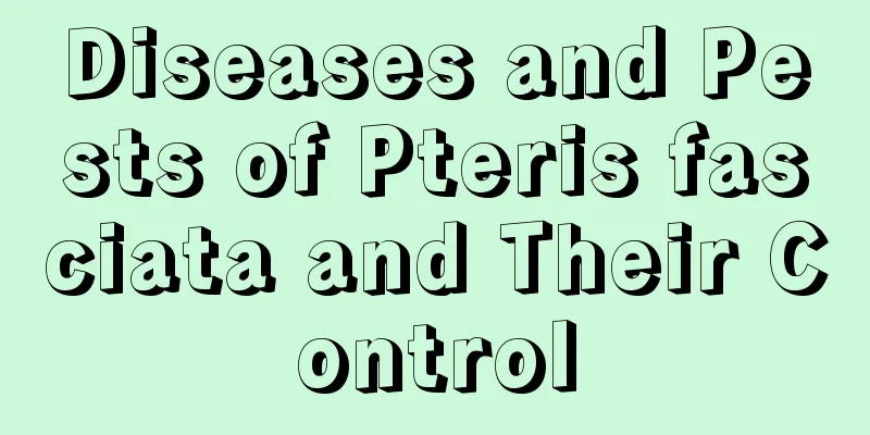 Diseases and Pests of Pteris fasciata and Their Control