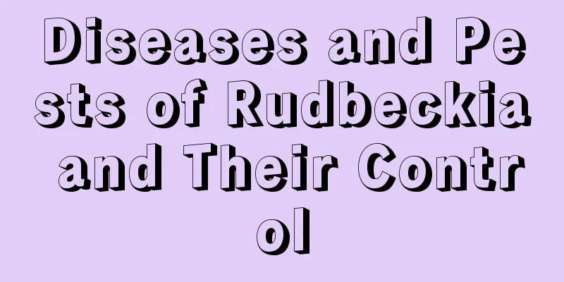 Diseases and Pests of Rudbeckia and Their Control