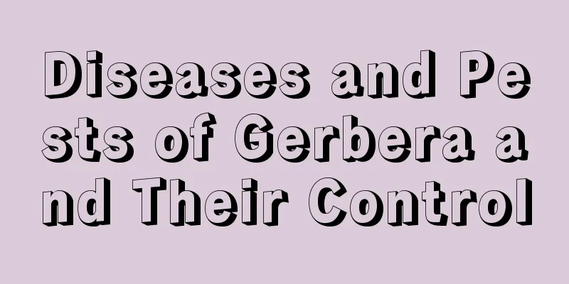 Diseases and Pests of Gerbera and Their Control