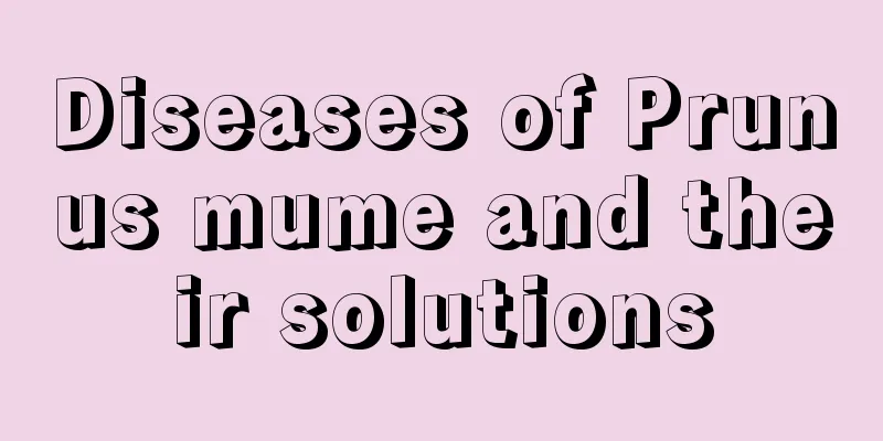 Diseases of Prunus mume and their solutions