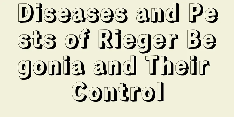 Diseases and Pests of Rieger Begonia and Their Control