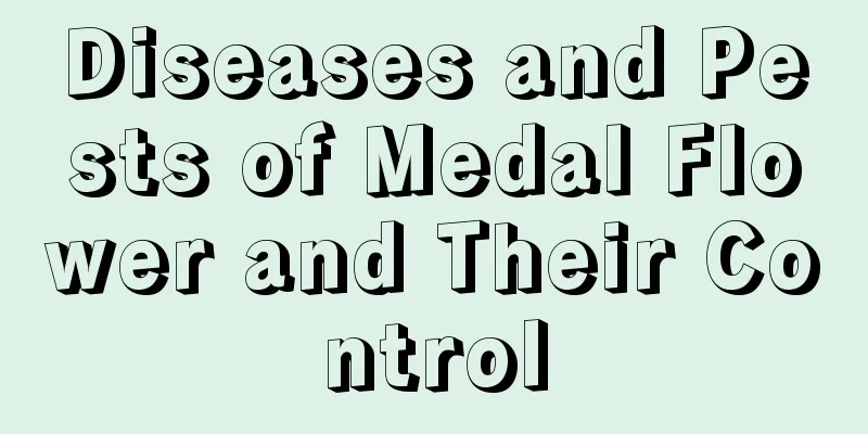 Diseases and Pests of Medal Flower and Their Control