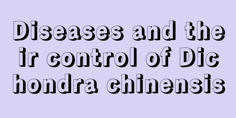 Diseases and their control of Dichondra chinensis