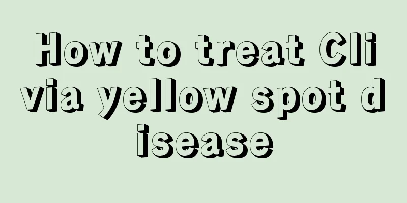 How to treat Clivia yellow spot disease