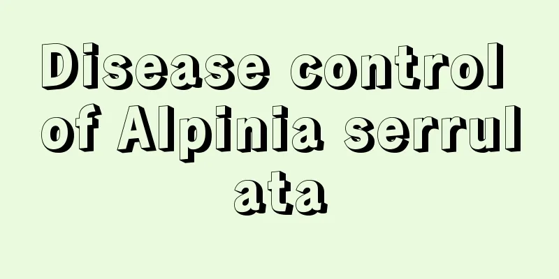 Disease control of Alpinia serrulata