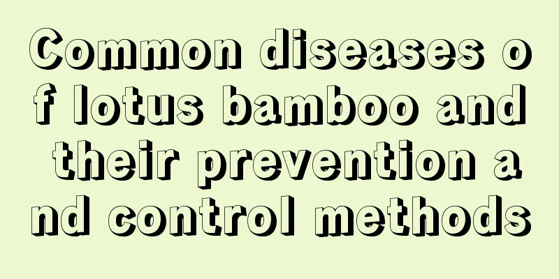 Common diseases of lotus bamboo and their prevention and control methods