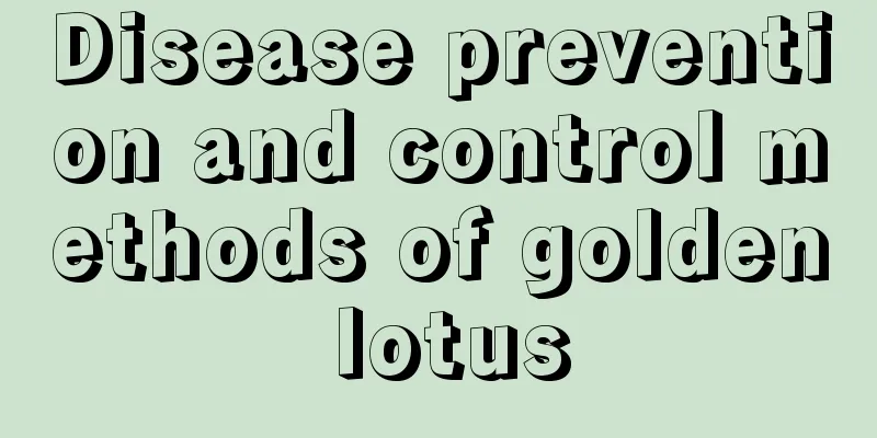 Disease prevention and control methods of golden lotus