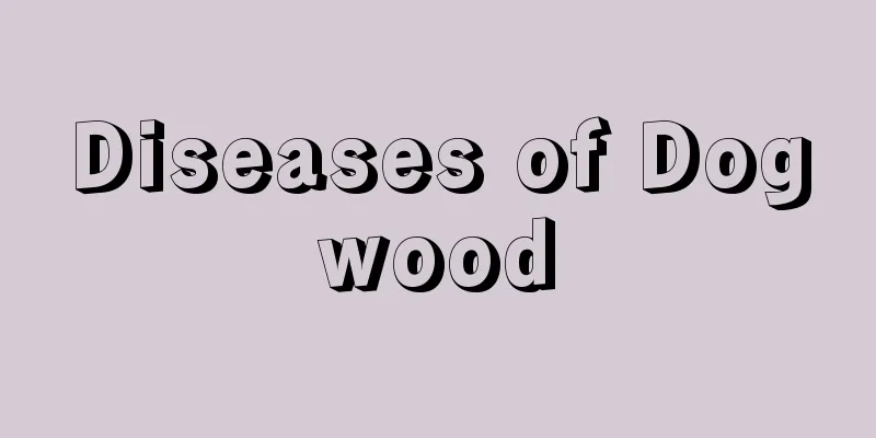 Diseases of Dogwood