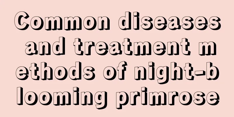 Common diseases and treatment methods of night-blooming primrose