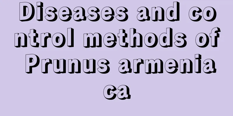 Diseases and control methods of Prunus armeniaca