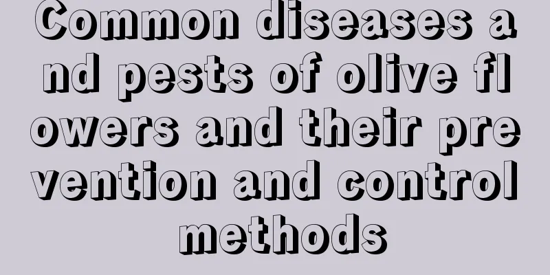 Common diseases and pests of olive flowers and their prevention and control methods