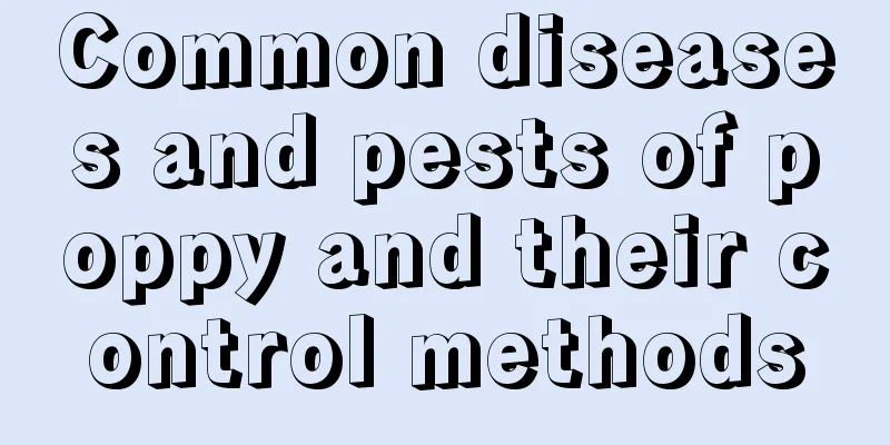 Common diseases and pests of poppy and their control methods