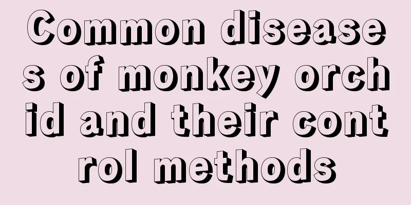 Common diseases of monkey orchid and their control methods