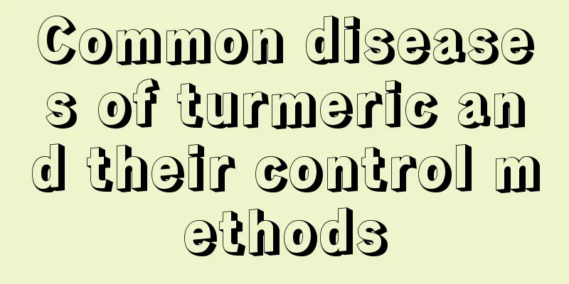 Common diseases of turmeric and their control methods