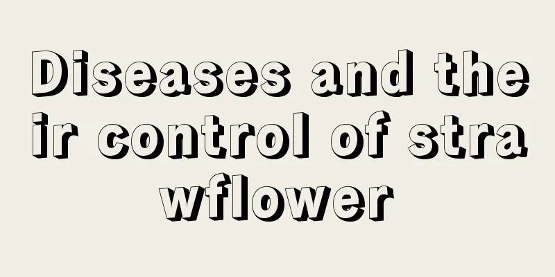 Diseases and their control of strawflower