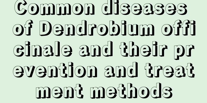 Common diseases of Dendrobium officinale and their prevention and treatment methods