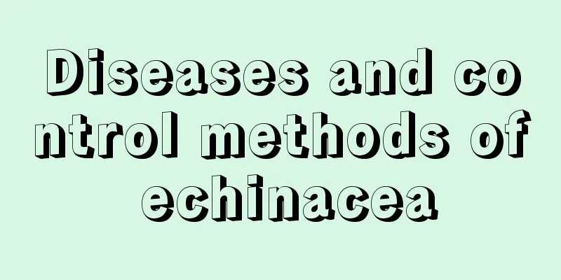 Diseases and control methods of echinacea