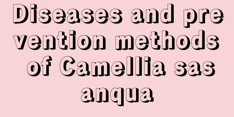 Diseases and prevention methods of Camellia sasanqua