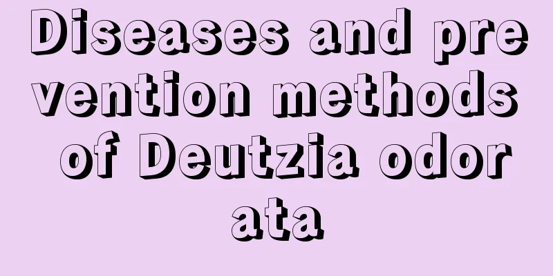 Diseases and prevention methods of Deutzia odorata