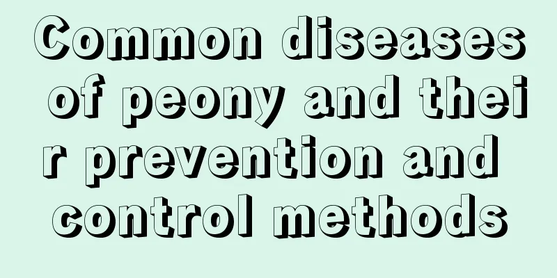 Common diseases of peony and their prevention and control methods