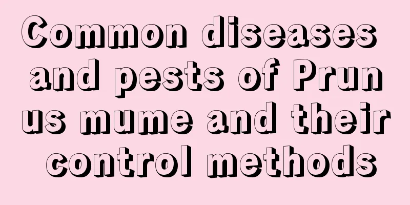 Common diseases and pests of Prunus mume and their control methods