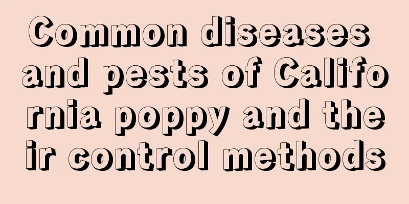 Common diseases and pests of California poppy and their control methods