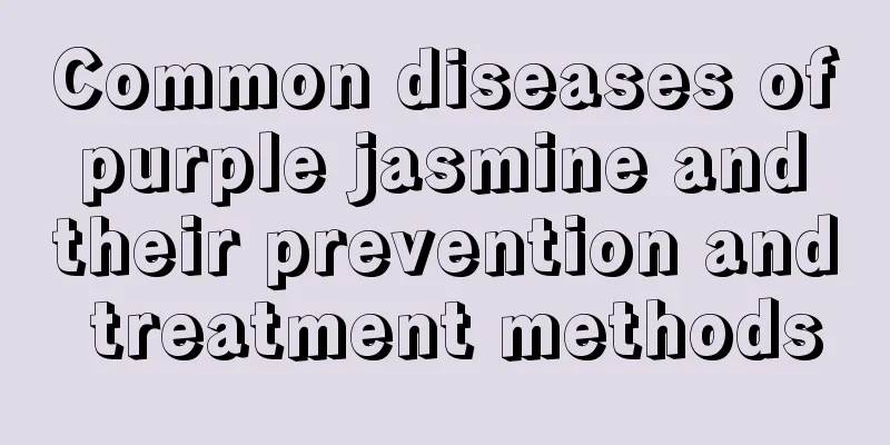 Common diseases of purple jasmine and their prevention and treatment methods