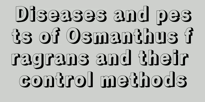 Diseases and pests of Osmanthus fragrans and their control methods